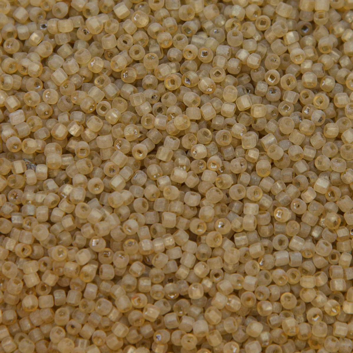 12SV251-12R: Vin Venetian Seed Bead Goldenrod #12 Unfinished SQ-HOLE 12/0-50GMs - Image 2