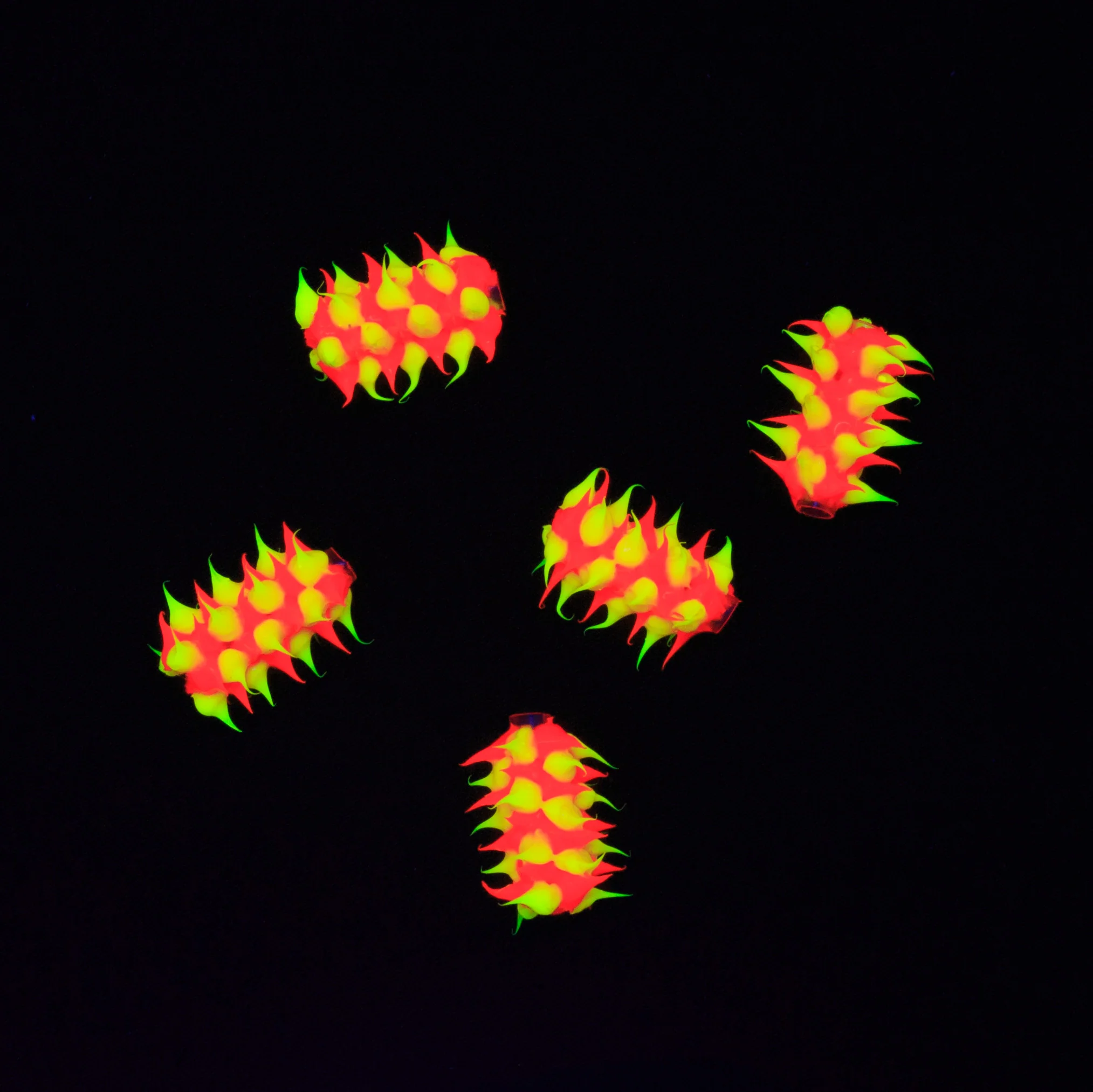 64MS134-22: Rubber Tube Orange w/Yellow 15mm - 5PPK - Image 2