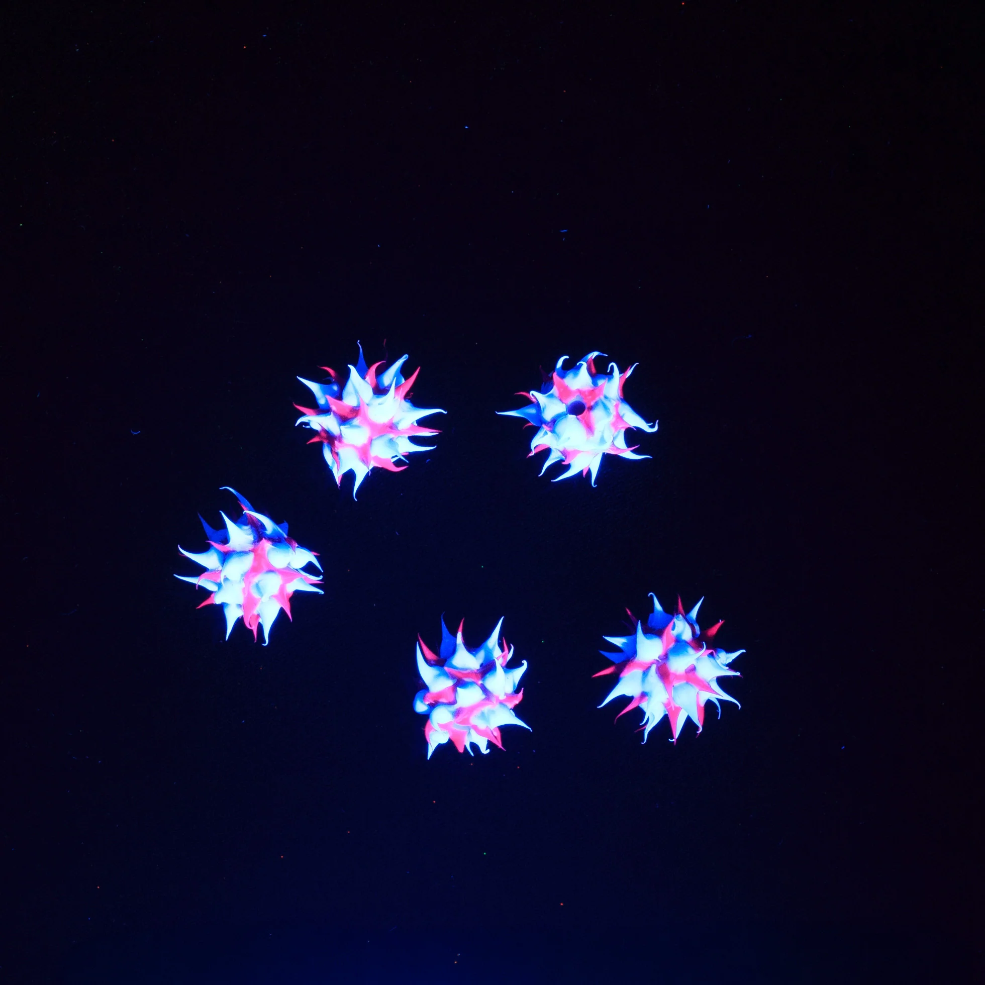 6MS198-74: Rubber Round Purple w/Blue 6mm - 5PPK - Image 2