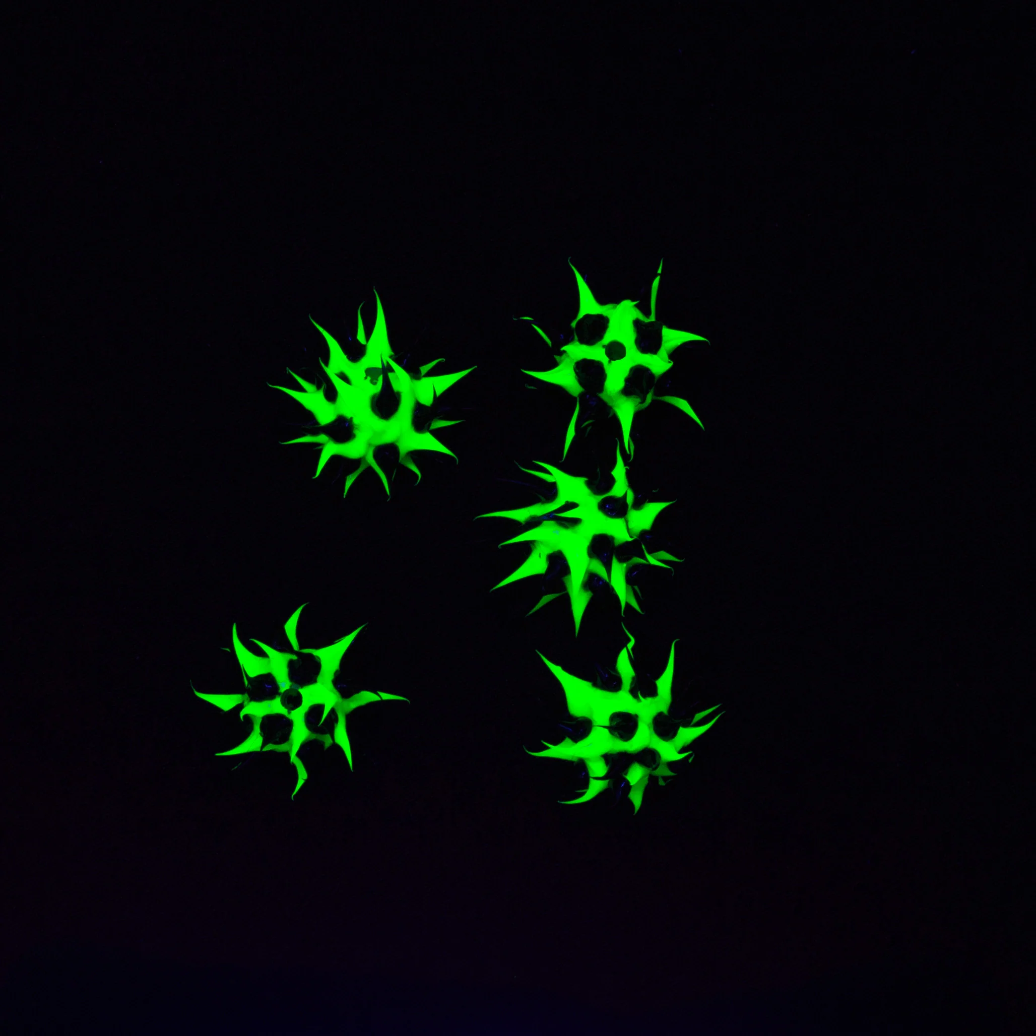 8MS109-84: Rubber Round Green w/Black 8mm - 5PPK - Image 2